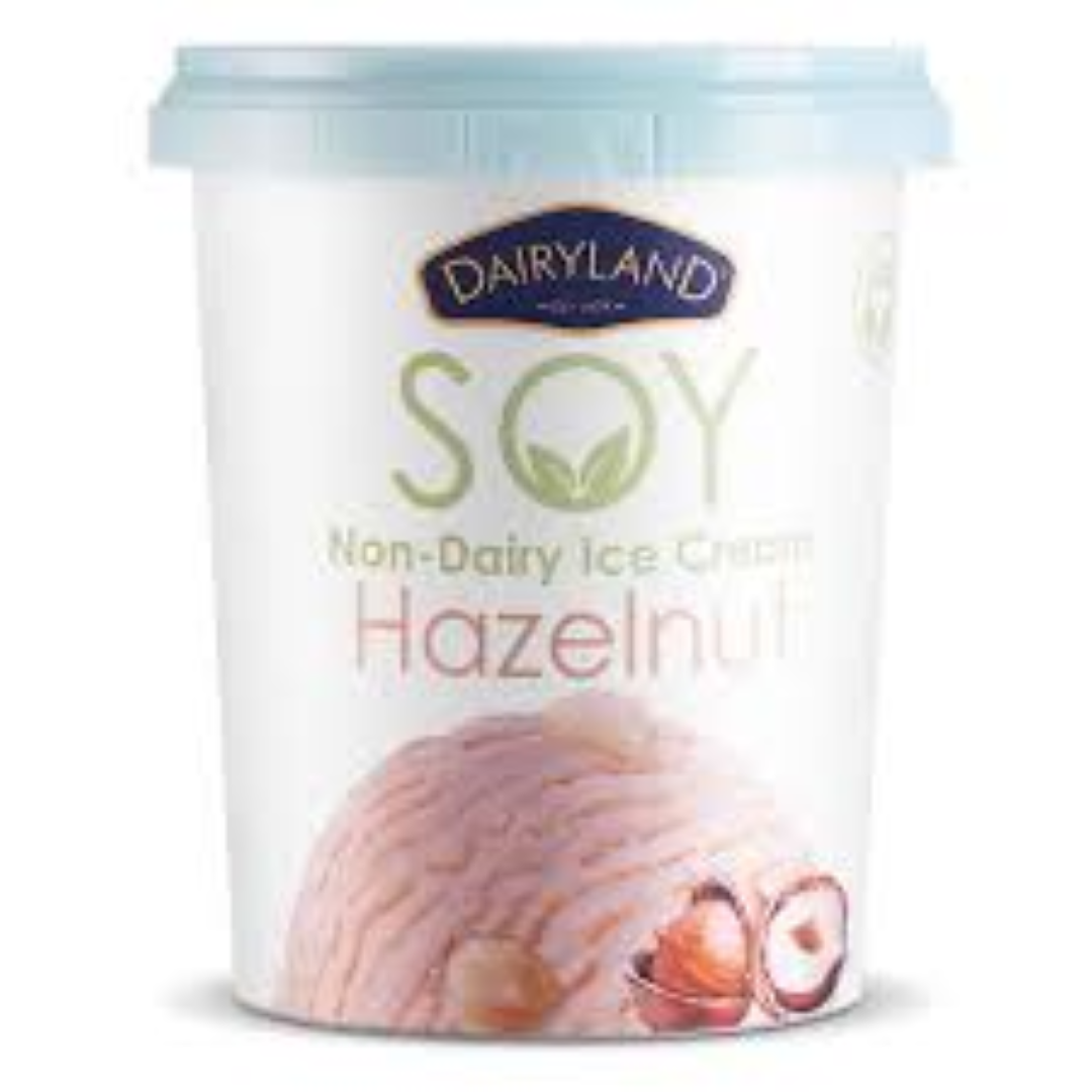 DAIRYLAND NON DAIRY ICE CREAM HAZELNUT 500ML